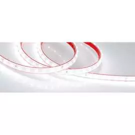 Герметичная светодиодная лента Arlight RTW-PS-A80-10mm 24V White6000 6 Вт/м 024527(2)