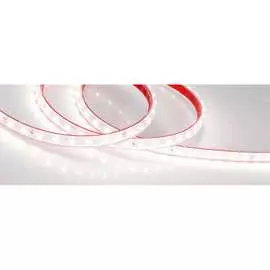 Герметичная светодиодная лента Arlight RTW-PS-A80-10mm 24V Day4000 024530(2)