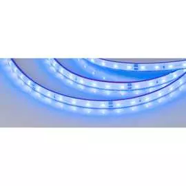 Герметичная светодиодная лента Arlight RTW-PFS-A60-11mm 24V Blue 4.8 Вт/ 034160