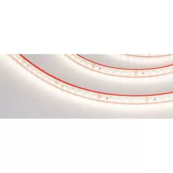 Герметичная светодиодная лента Arlight RTW-PS-A120-10mm 24V Day4000 9.6 Вт/м 022322(2)