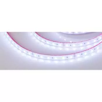 Герметичная светодиодная лента Arlight RTW-PS-B60-12mm 024587(2)