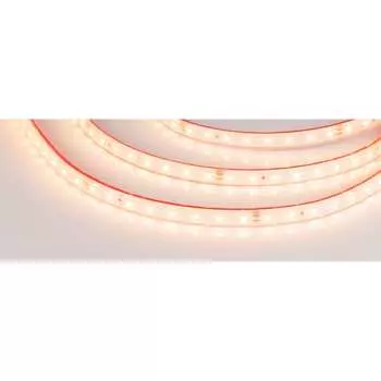 Герметичная светодиодная лента Arlight RTW-PS-A80-10mm 024519(2)