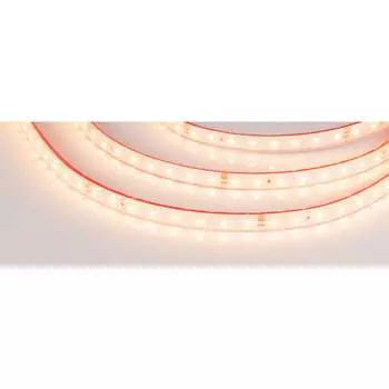 Герметичная светодиодная лента Arlight RTW-PS-A80-10mm 24V Warm2700 6.8 Вт/м 024520(2)