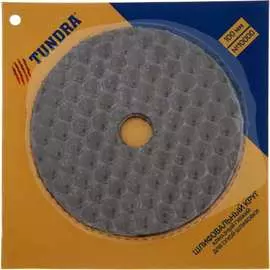 Гибкий шлифовальный алмазный круг для сухой шлифовки TUNDRA