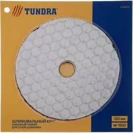 Гибкий шлифовальный алмазный круг для сухой шлифовки TUNDRA