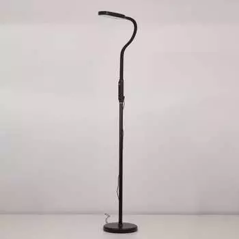 Гибкий светодиодный торшер Citilux Марк CL804021