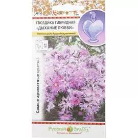 Гибридная гвоздика семена РУССКИЙ ОГОРОД