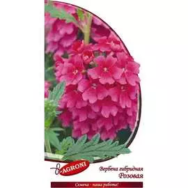 Гибридная вербена семена Агрони