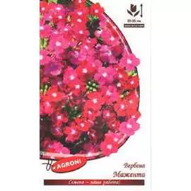 Гибридная вербена семена Агрони