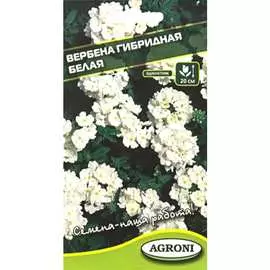 Гибридная вербена семена Агрони БЕЛАЯ 5893