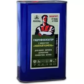 Гидрофобизатор РЕКОРД