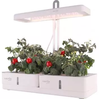 Гидропонная установка Cactus Garden 2000786