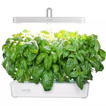 Гидропонная установка Cactus Garden CS-LEDPOT-10 2000780