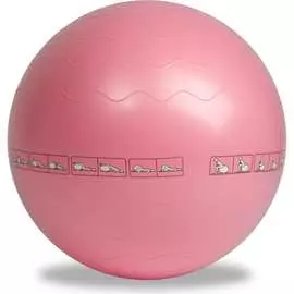 Гимнастический мяч Ironmaster