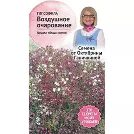 Гипсофила семена ОКТЯБРИНА ГАНИЧКИНА