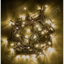 Гирлянда FERON CL07 32316