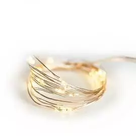 Гирлянда Neon-Night Роса 315-976