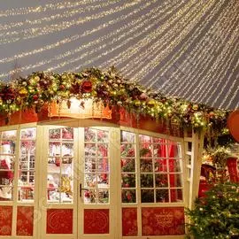 Соединяемая гирлянда Neon-Night Кластер 315-265