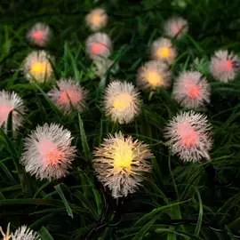 Гирлянда-нить LUAZON