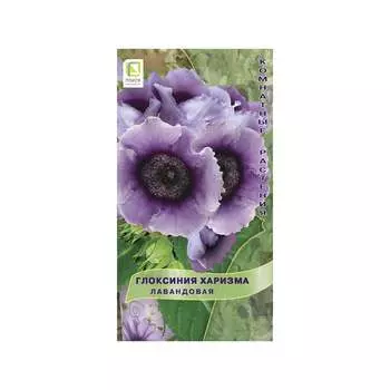 Глоксиния харизма Агрохолдинг ПОИСК Лавандовая 731375