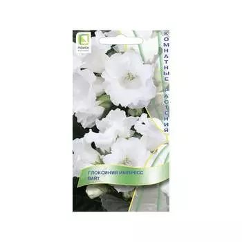 Глоксиния импресс Агрохолдинг ПОИСК Вайт 734742