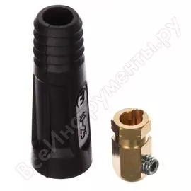 Гнездо Кедр