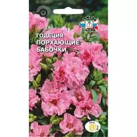 Годеция семена СеДек