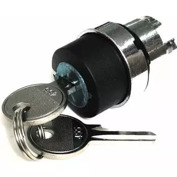 Головка переключателя Briswik КПЕ 21КС LAY4-BG3.BR