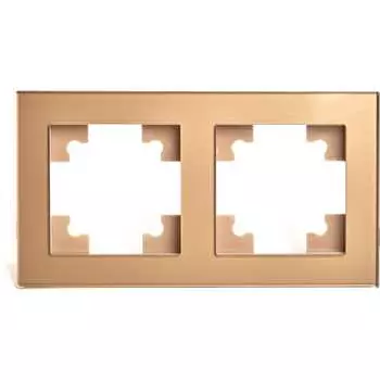 Горизонтальная 2-местная рамка STEKKER GFR00-7002-08 серия Катрин 49034