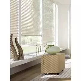 Горизонтальные жалюзи Эскар 6009140160