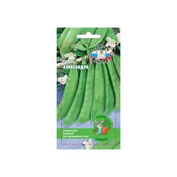 Горох СеДек