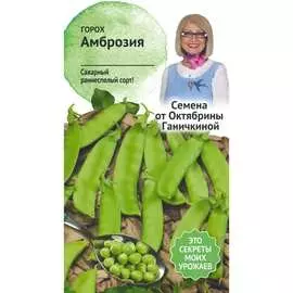 Горох семена ОКТЯБРИНА ГАНИЧКИНА Амброзия 119186