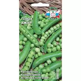 Горох семена СеДек Ажур 00000002427