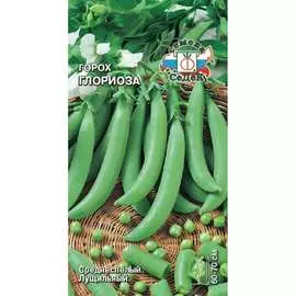 Горох семена СеДек Глориоза 00000015308