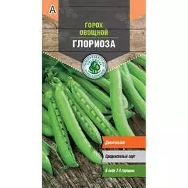 Горох семена Тимирязевский питомник