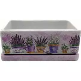 Горшок Сады Аурики