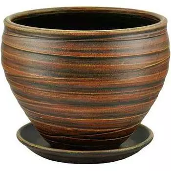 Горшок Сады Аурики