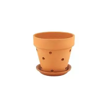 Горшок Сады Аурики