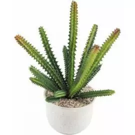 Горшок Волшебная страна