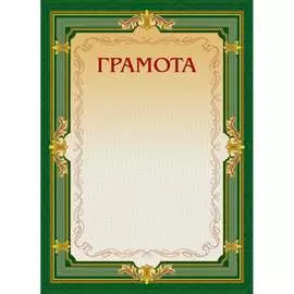 Грамота ООО Комус 213290