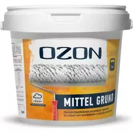 Грунтовка для пористых оснований OZON
