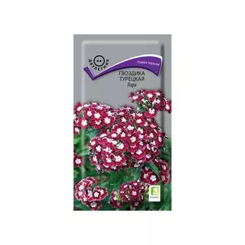 Гвоздика турецкая Агрохолдинг ПОИСК Лара 832731