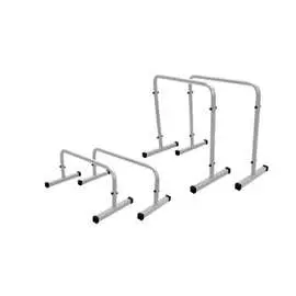 Хайлетсы-паралетсы Absolute Champion