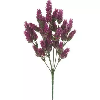 Хмель Вещицы E4-HR