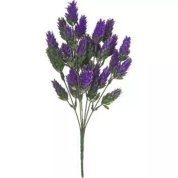 Хмель Вещицы