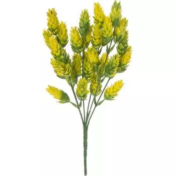 Хмель Вещицы E4-HZ