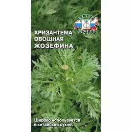 Хризантема семена СеДек