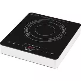 Индукционная плитка TESLER