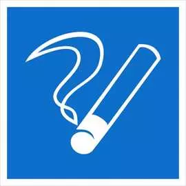 Информационная наклейка REXANT Место курения 56-0033