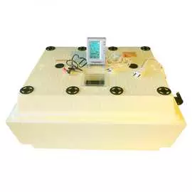 Инкубатор Золушка 2020 00-00018287